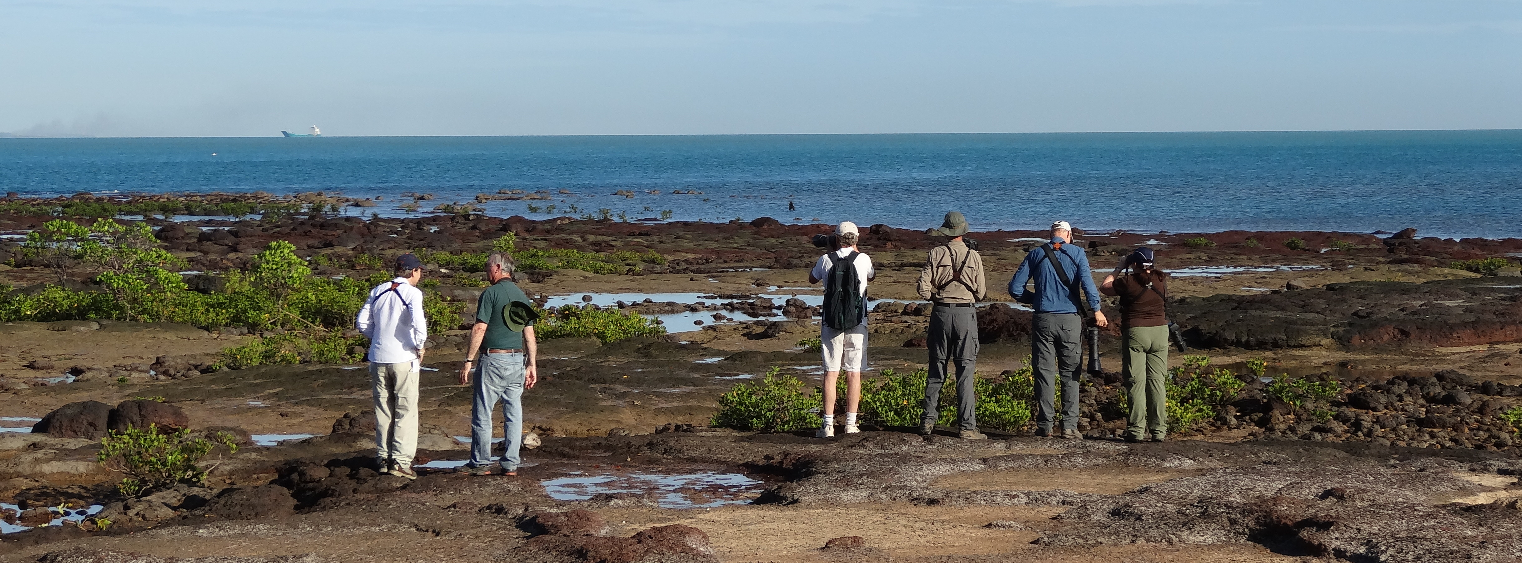 East Point rocks! Great place to see waders, only ten minutes from the centre of Darwin